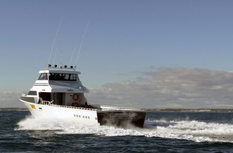 Shoreline Marine Fabrication - Boat Builder - Boiling Point