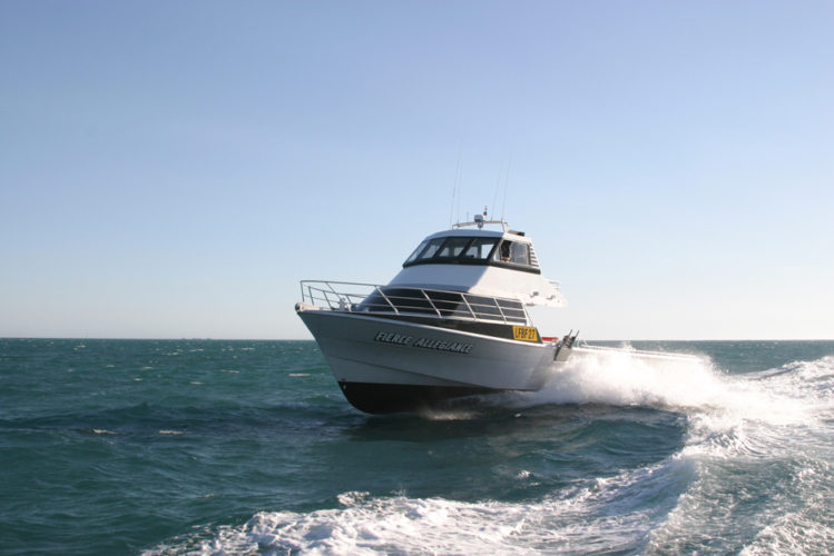 Shoreline Marine Fabrication - Boat Builder - Fierce Allegiance