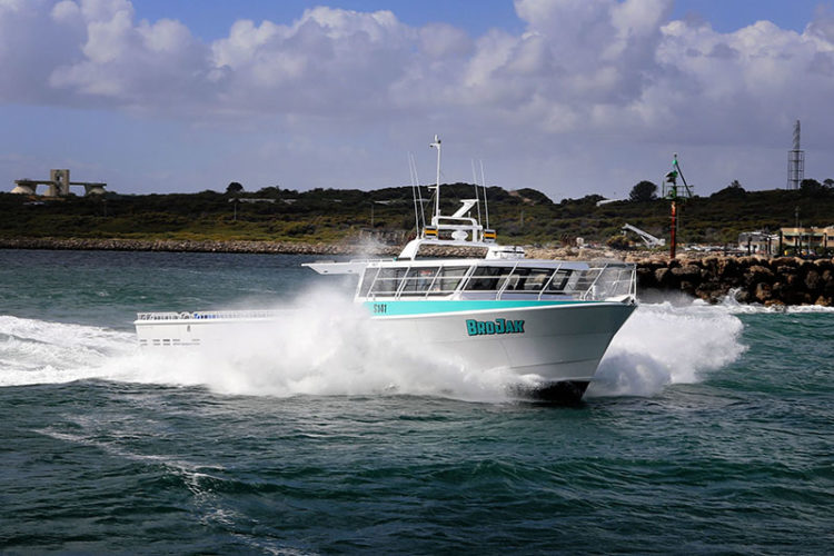 Shoreline Marine Fabrication - Brojack 17.35M COMMERCIAL FISHING VESSEL
